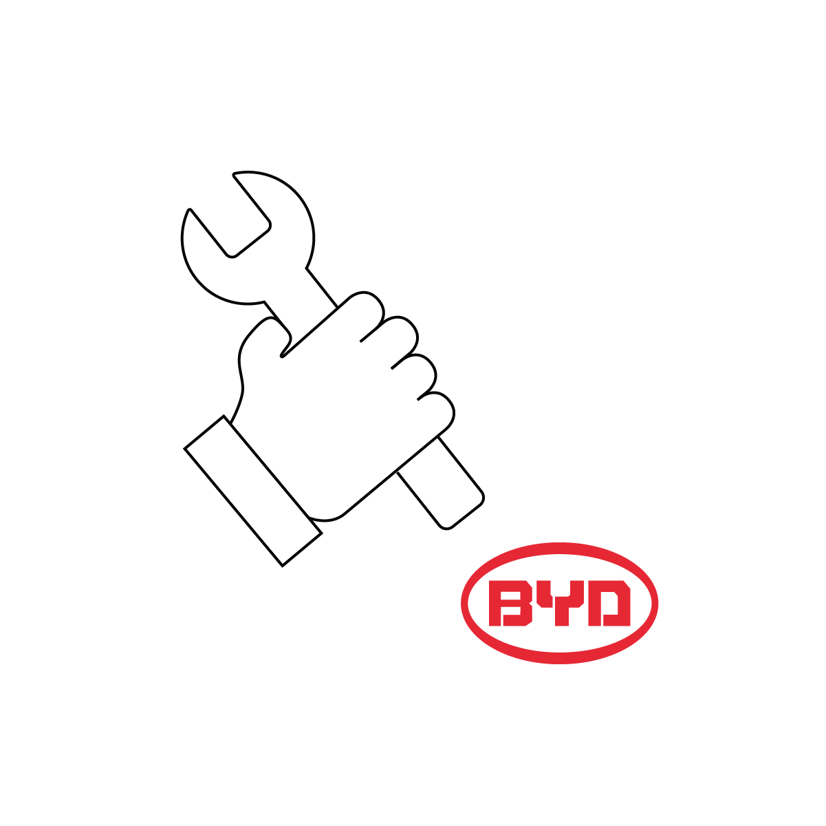 BYD Commercial Inbetriebnahme Service - CZ